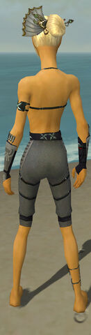 File:Assassin Shing Jea Armor F gray arms legs back.jpg