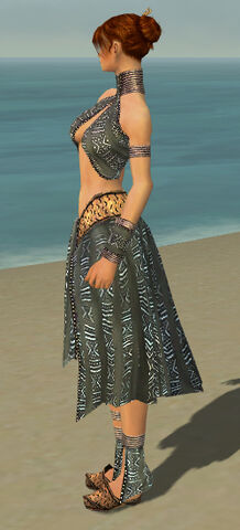 File:Elementalist Istani Armor F gray side.jpg