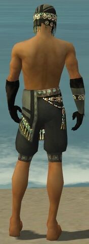 File:Ritualist Elite Luxon Armor M gray arms legs back.jpg