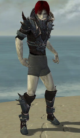 File:Necromancer Asuran Armor M gray chest feet front.jpg