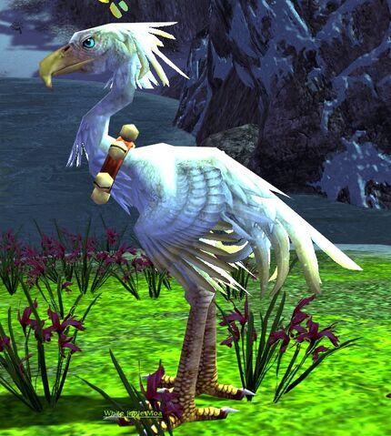 File:White Jingle Moa.jpg