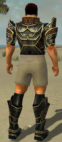 File:Warrior Kurzick Armor M gray chest feet back.jpg
