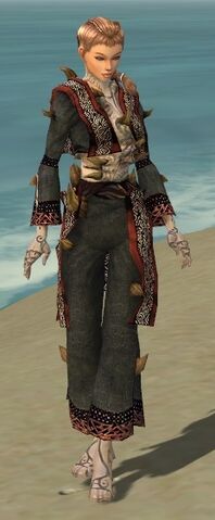 File:Monk Primeval Armor F gray front.jpg