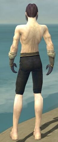 File:Elementalist Norn Armor M gray arms legs back.jpg