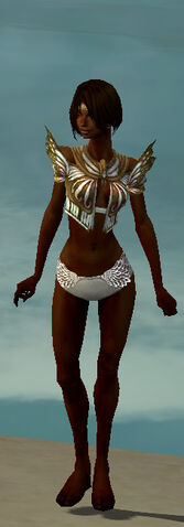 File:Winged Raiment F dyed front.jpg