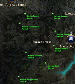 In the Army Now(Kurzick)