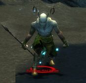 Maddened Mind Warden