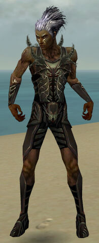 File:Necromancer Istani Armor M gray front.jpg