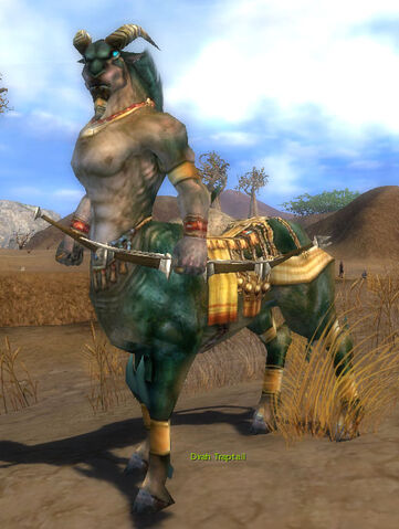 File:Dirah Traptail.jpg