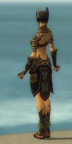 File:Ritualist Monument Armor F gray back.jpg