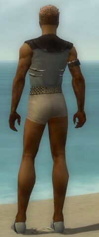 File:Dervish Primeval Armor M gray chest feet back.jpg