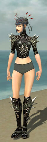 File:Necromancer Luxon Armor F gray chest feet front.jpg