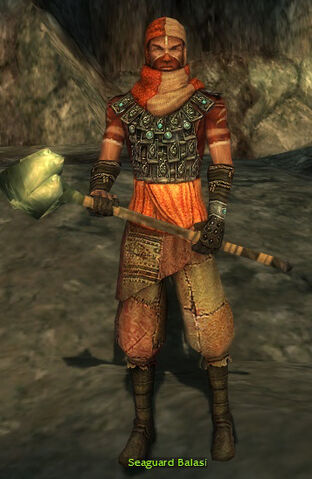 File:Seaguard Balasi.jpg