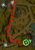 Rabbit location