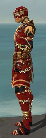 File:Ritualist Imperial Armor M dyed side.jpg