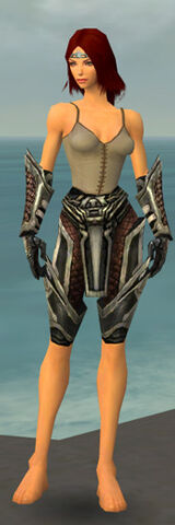 File:Warrior Elite Kurzick Armor F gray arms legs front.jpg