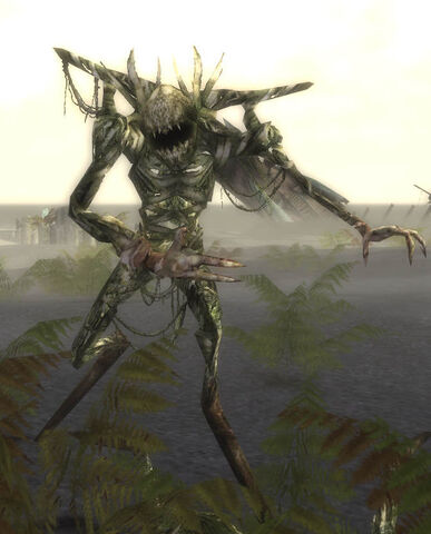 File:Snarling Driftwood.jpg