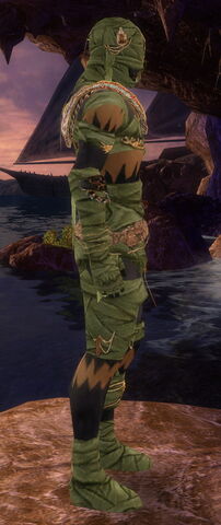 File:Ritualist Ancient Armor M dyed side.jpg