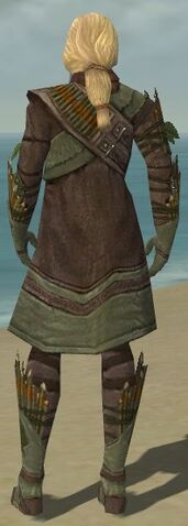 File:Ranger Elite Druid Armor M gray back.jpg