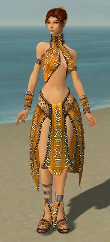 File:Elementalist Istani Armor F dyed front.jpg