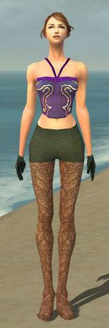 File:Mesmer Performer Armor F gray arms legs front.jpg