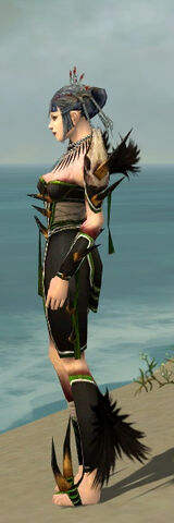 File:Necromancer Ancient Armor F dyed side.jpg
