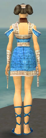 File:Monk Woven Armor F dyed back.jpg