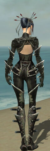 File:Necromancer Kurzick Armor F gray back.jpg