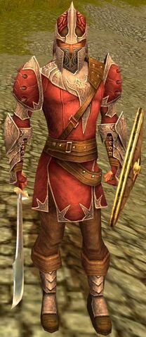 File:GateGuardTorin.jpg