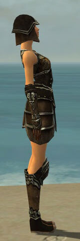 File:Warrior Shing Jea Armor F gray side.jpg