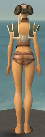 File:Monk Tyrian Armor F gray chest feet back.jpg