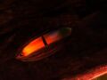Primordus eye