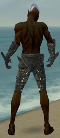 File:Necromancer Necrotic Armor M gray arms legs back.jpg