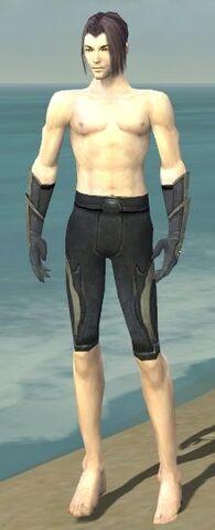 File:Elementalist Ascalon Armor M gray arms legs front.jpg