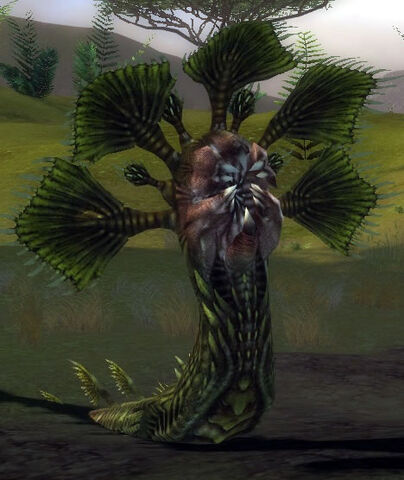File:Fanged Iboga.jpg