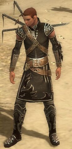 File:Anton Armor Brotherhood Front.jpg