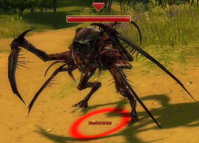 File:Mantid Drone.jpg