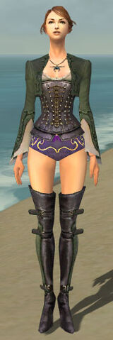 File:Mesmer Rogue Armor F gray chest feet front.jpg