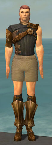 File:Ranger Sunspear Armor M gray chest feet front.jpg