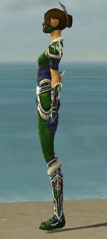 File:Assassin Norn Armor F dyed side.jpg