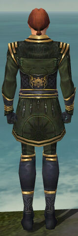 File:Mesmer Sunspear Armor M gray back.jpg
