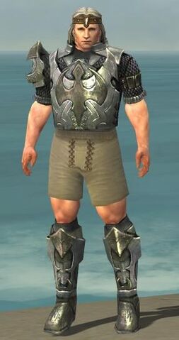 File:Warrior Elite Templar Armor M gray chest feet front.jpg