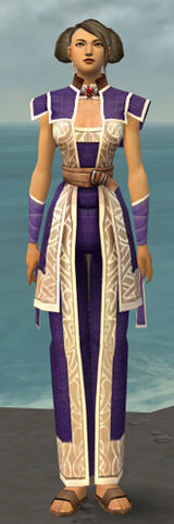 File:Monk Tyrian Armor F dyed front.jpg