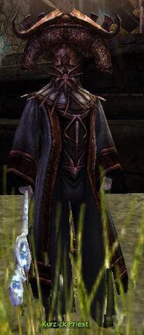 File:Kurzick Priest.jpg
