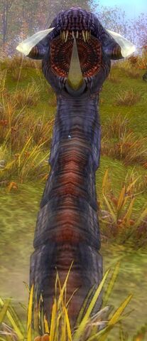 File:Worm (Charr Homelands).jpg