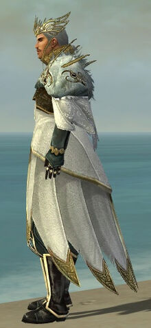 File:Dwayna's Regalia M default side.jpg
