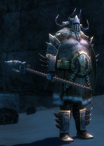 File:Norn Guard Captain.jpg