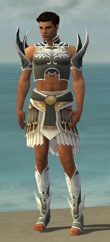 File:Paragon Deldrimor Armor M gray front.jpg