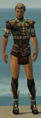 File:Ritualist Elite Luxon Armor M gray chest feet front.jpg