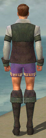 File:Mesmer Performer Armor M gray chest feet back.jpg